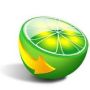 Hoe download je met LimeWire?